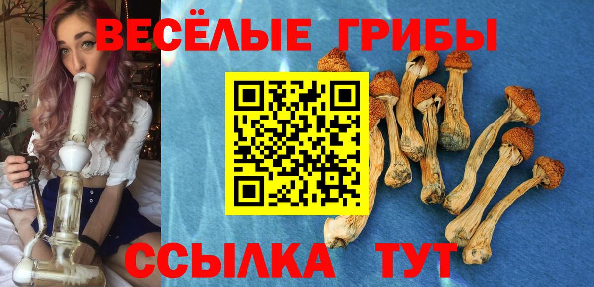 Гагарин  Псилоцибиновые грибы мухоморы  цены наркотик  Вход с VPN  Псилоцибиновые грибы Cubensis 